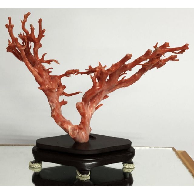 極太赤珊瑚置物台込高さ23㎝/453g 東Y7-0312☆2F