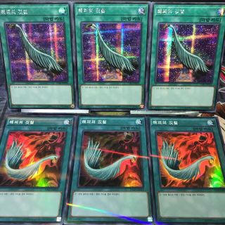 1521125087.jpg?1648394890