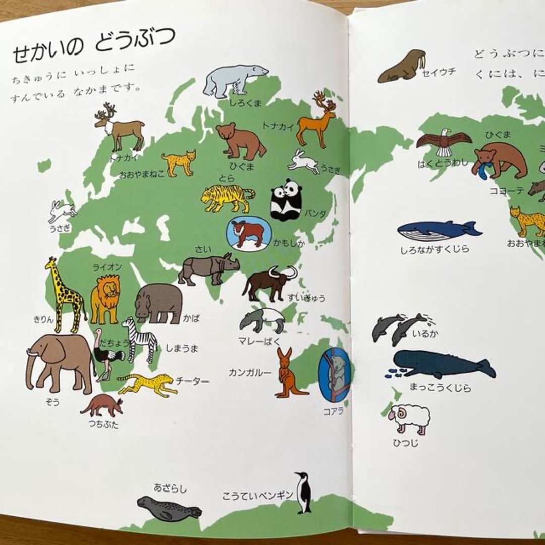 せかいちず絵本 こどもがはじめてであうの通販 by MarH's shop｜ラクマ