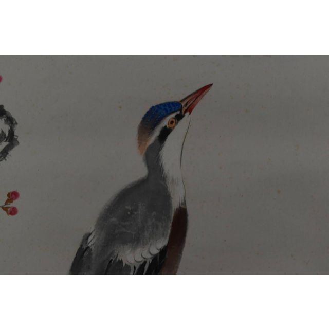 真作】植中直斎/梅花寿帯鳥図/掛軸☆宝船☆Z-916
