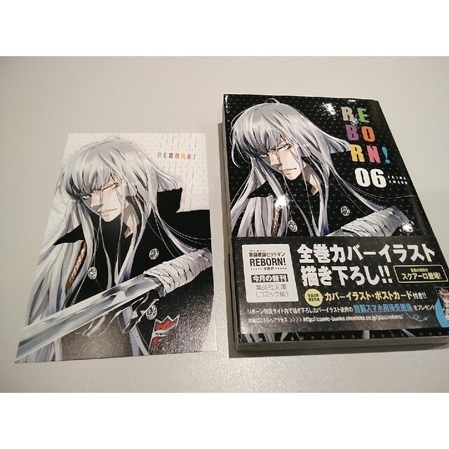 家庭教師ヒットマンREBORN！ 06 スクアーロポストカード付きの