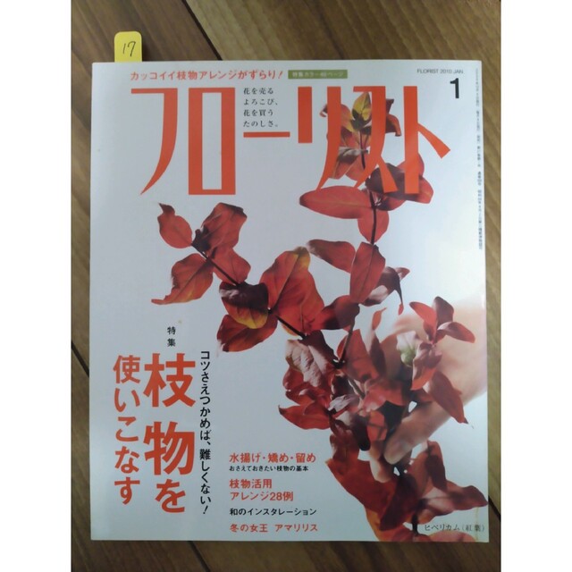 フローリスト(誠文堂新光社) バックナンバー ②10～18の通販 by カラー