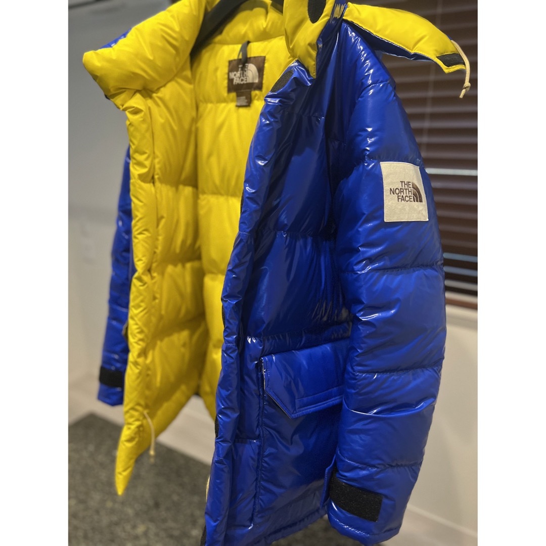 THE NORTH FACE - ノースフェイス 最高級グースダウンジャケット Lの