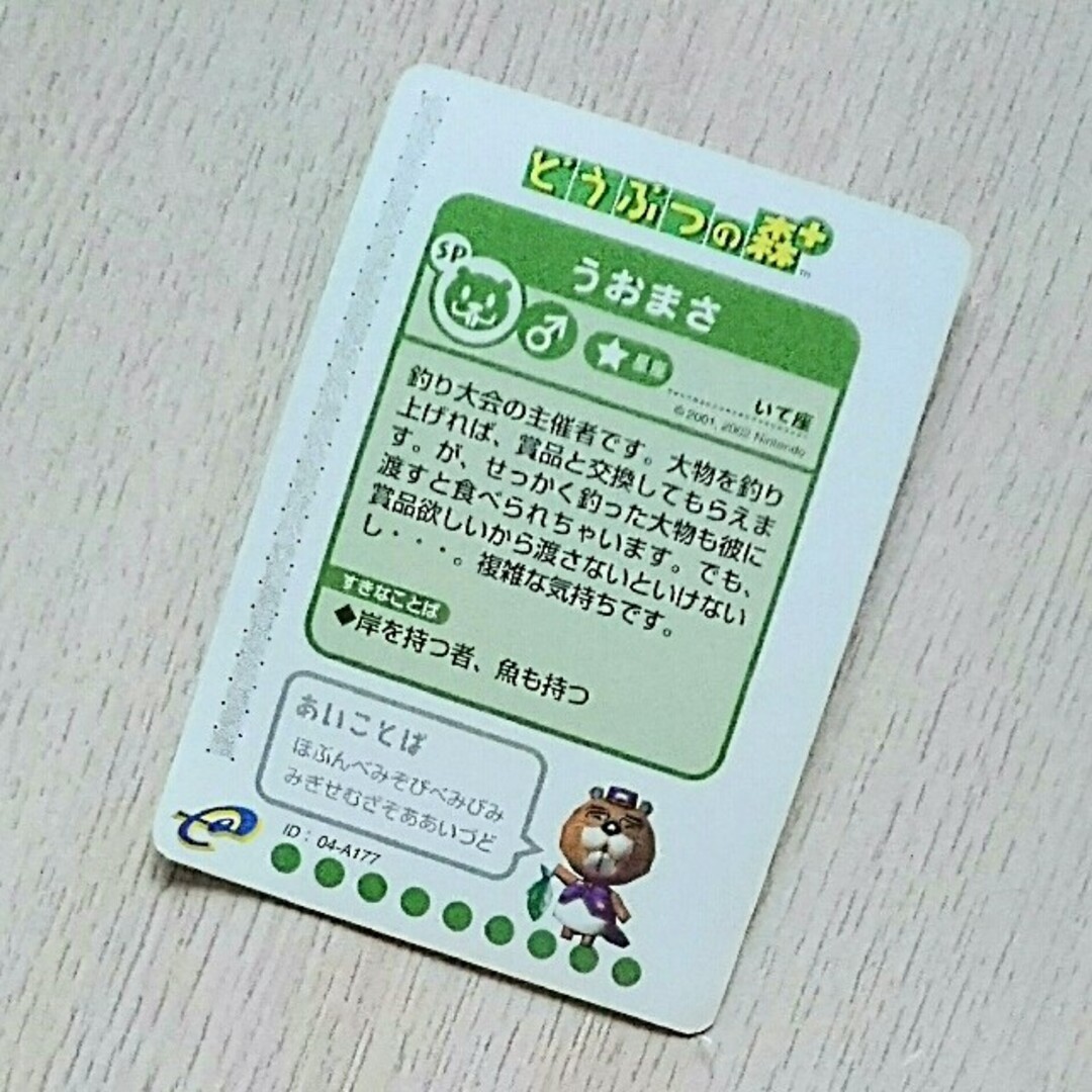 ニンテンドーゲームキューブ - レア☆【どうぶつの森+】うおまさ