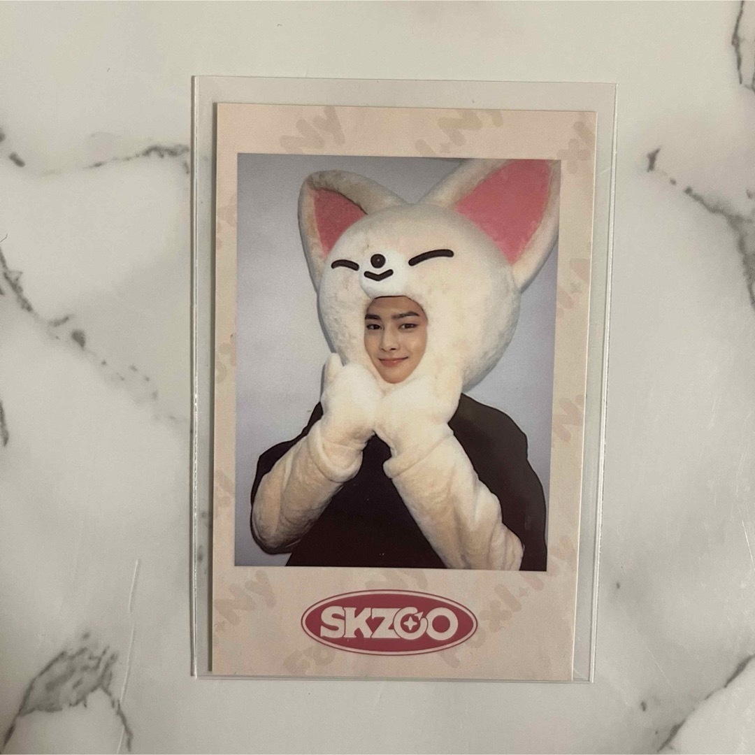 Stray Kids - アイエン / SKZOO ポラロイド 5枚 コンプセットの通販 by