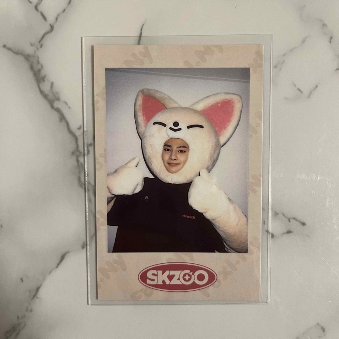 Stray Kids - アイエン / SKZOO ポラロイド 5枚 コンプセットの通販 by