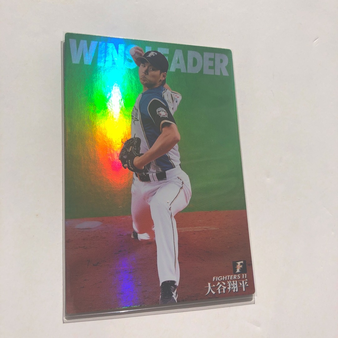 北海道日本ハムファイターズ - 日本ハム2015【カルビープロ野球