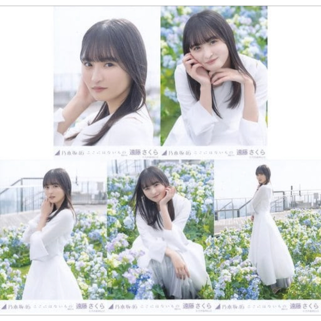 乃木坂46 遠藤さくら My respect 封入生写真 遠藤さくら 5シングル封入