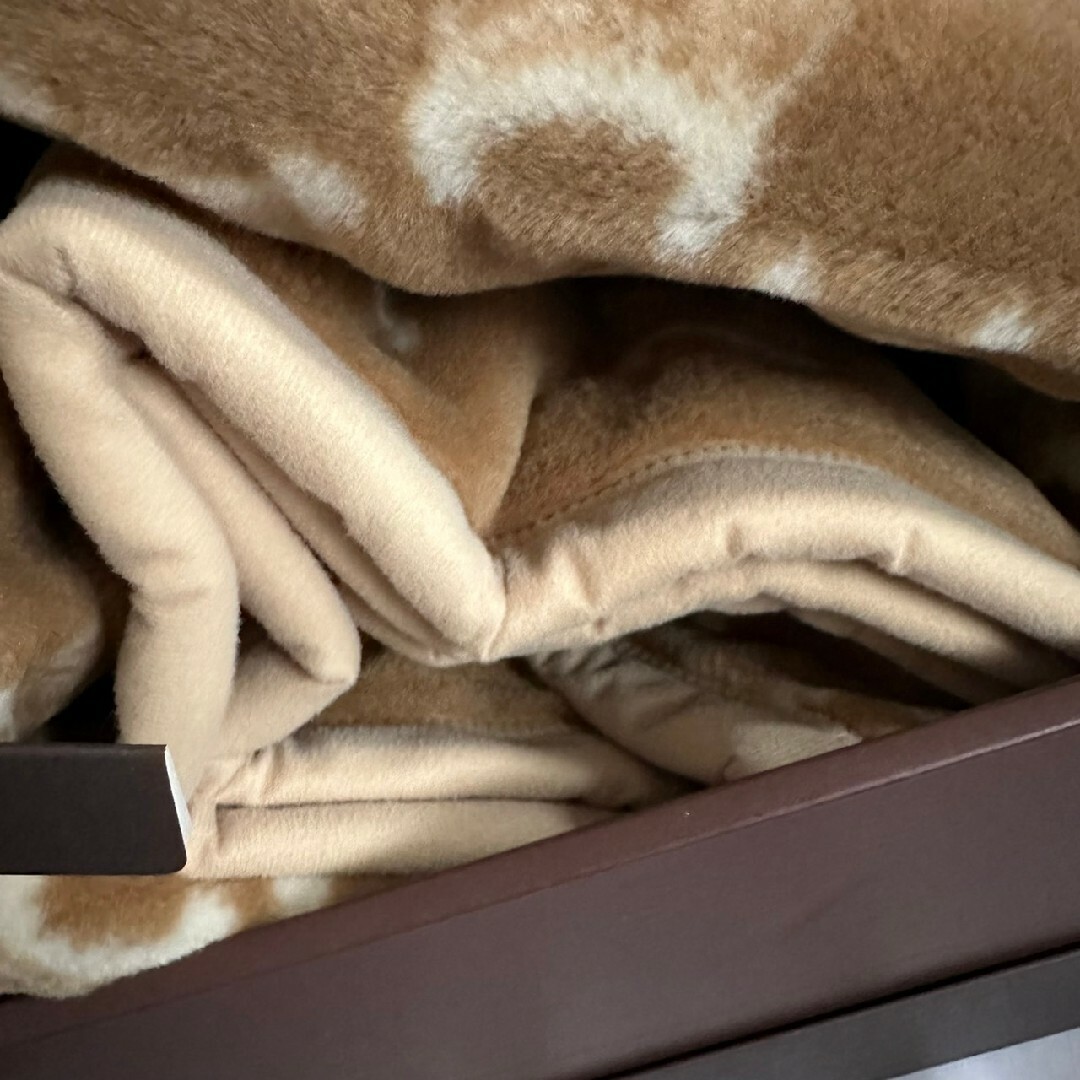 CELINE - 人気 新品 CELINE セリーヌ アクリルニュー マイヤー毛布