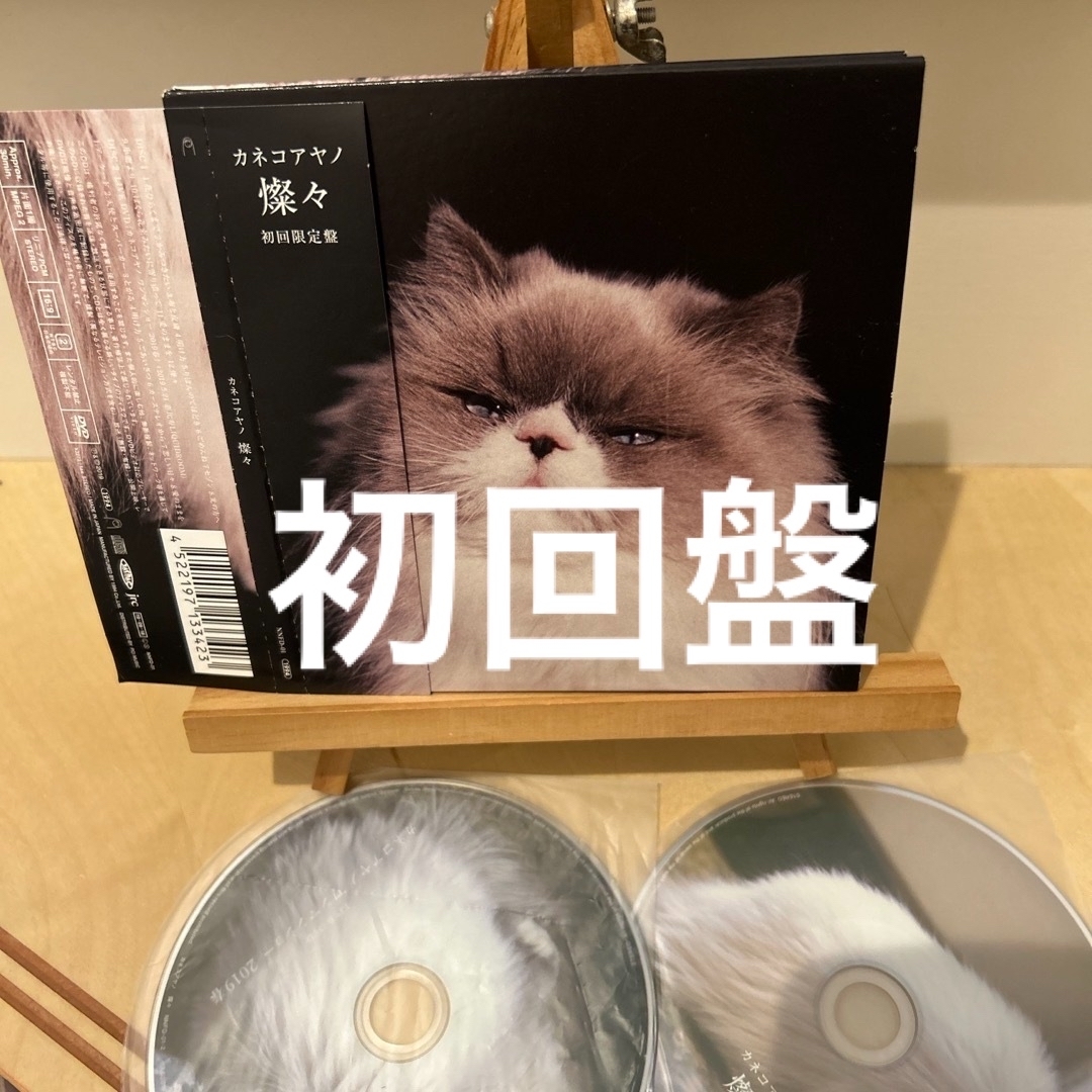 i*9様 カネコアヤノ 朝になって夢からさめて プロモCD-R カネコアヤノ