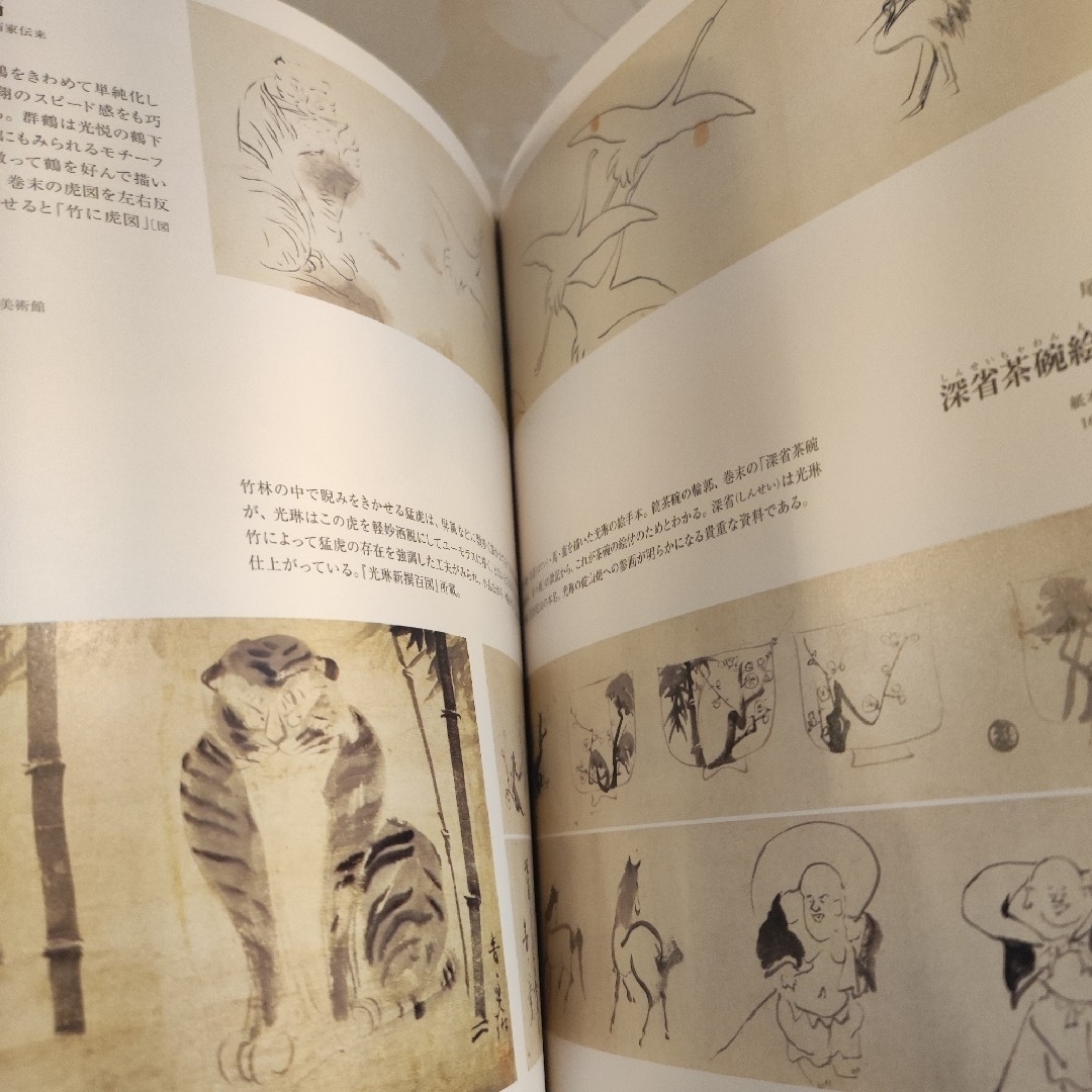 光琳デザイン 琳派 画集 図鑑 絵画様式 意匠図案 アートの通販 by