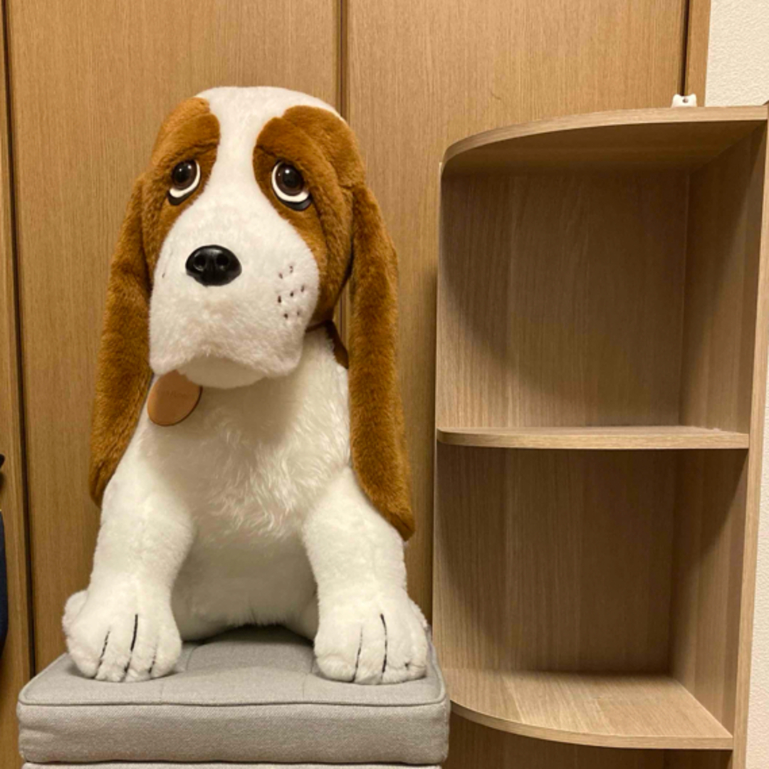 Hush Puppies - ハッシュパピー ぬいぐるみ 特大の通販 by みッピー's