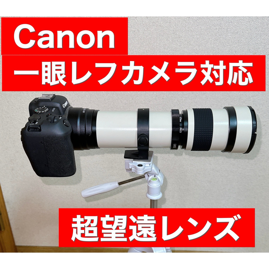 Canon一眼レフをお持ちの方におすすめ！ズームレンズ！カメラ初心者