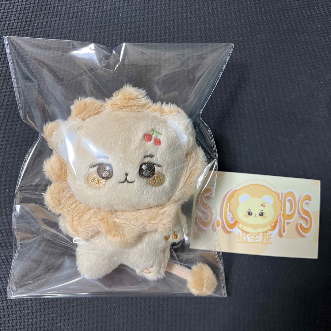 エスクプス ぬいぐるみ 10cm 新品 マスター セブチ seventeenの通販 by