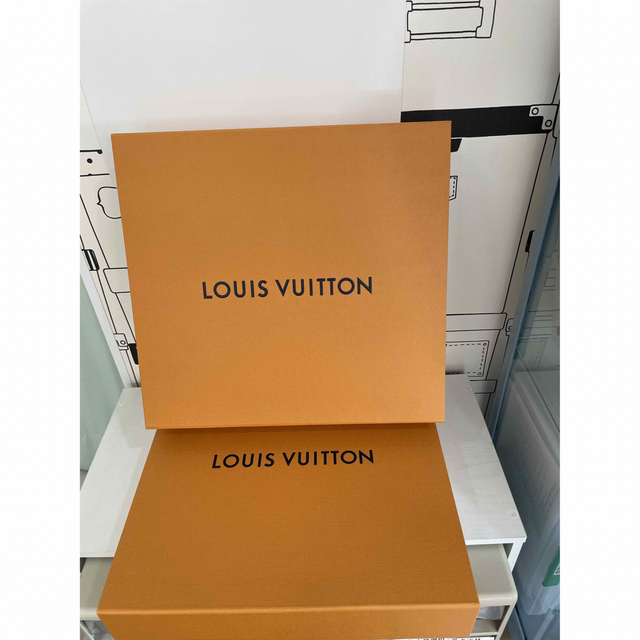 LOUIS VUITTON - ルイヴィトン 空箱 2個セットの通販 by color's shop
