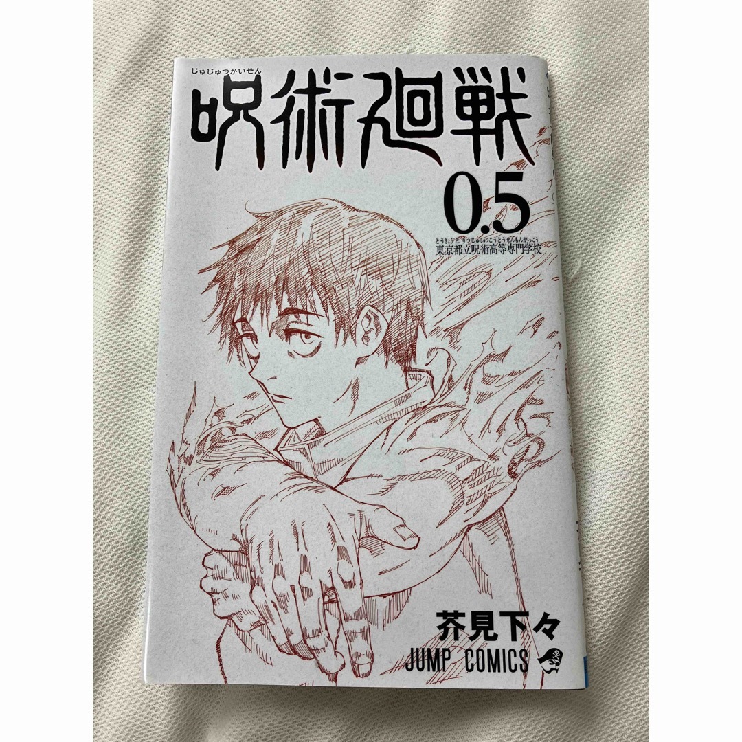 呪術廻戦 - 最終値下げ！呪術廻戦 入場者特典0.5巻の通販 by りんこ