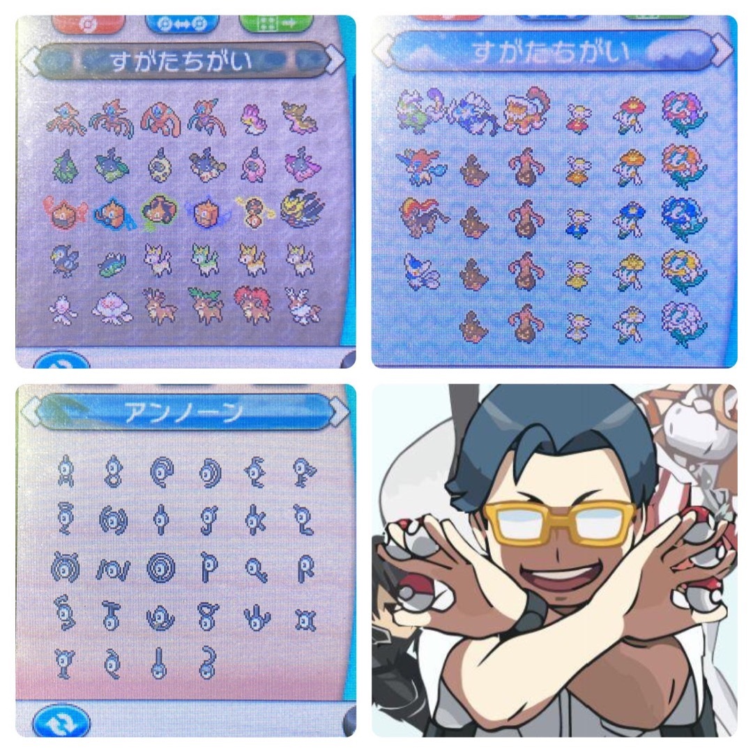 ニンテンドー3DS - ポケモン Y ビビヨン全模様コンプリート 配信多数