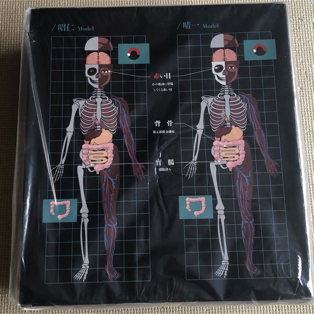 ポルノグラフィティ - ポルノグラフィティ 人体模型の通販 by ずーshop