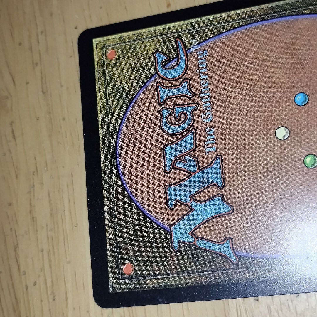 MTG 適者生存/Survival of the Fittest 英語版 ENの通販 by rob's shop