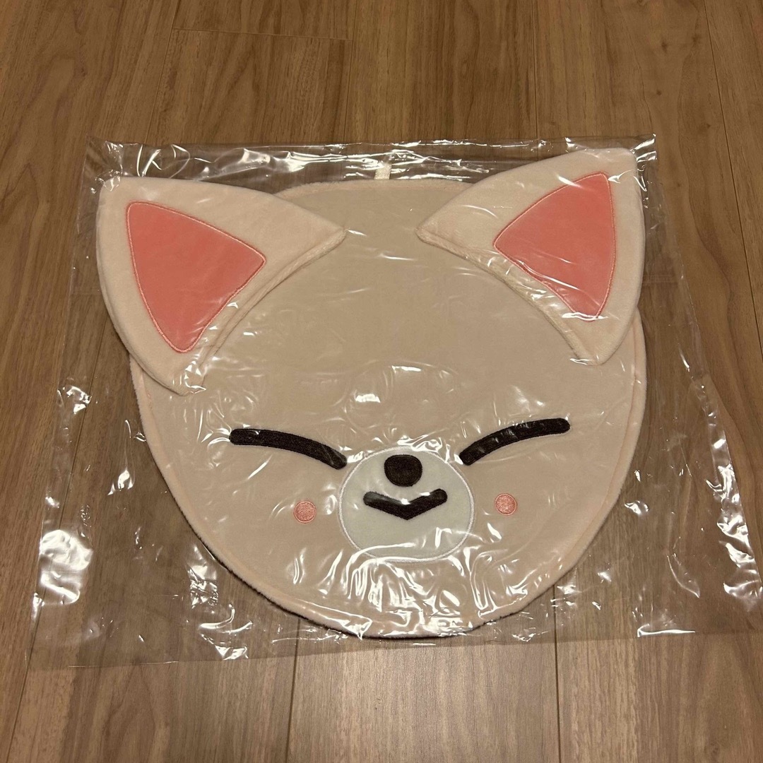 Stray Kids - アイエン⭐️StrayKids MANIAC 初代うちわケース うちわ