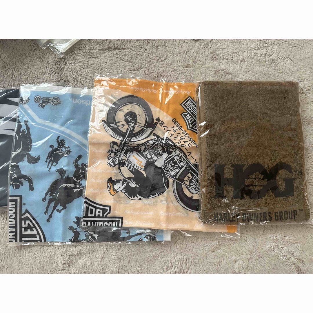 非売品】ハーレーダビッドソンHarley-Davidson HOG メンバー
