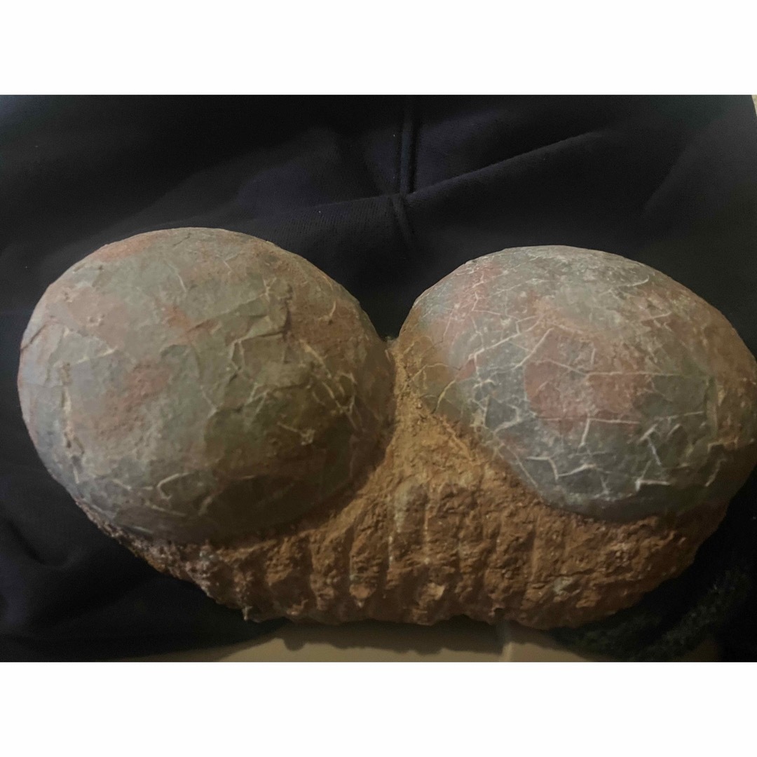 入手困難】恐竜の卵の化石 ハドロサウルスの卵化石の通販 by
