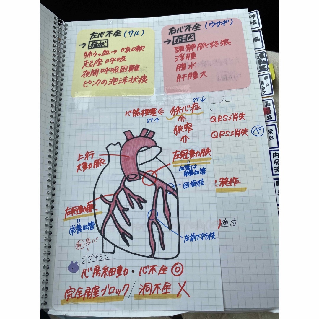 看護師国家試験対策【4点セット！】これで合格！お得セット！看護学生