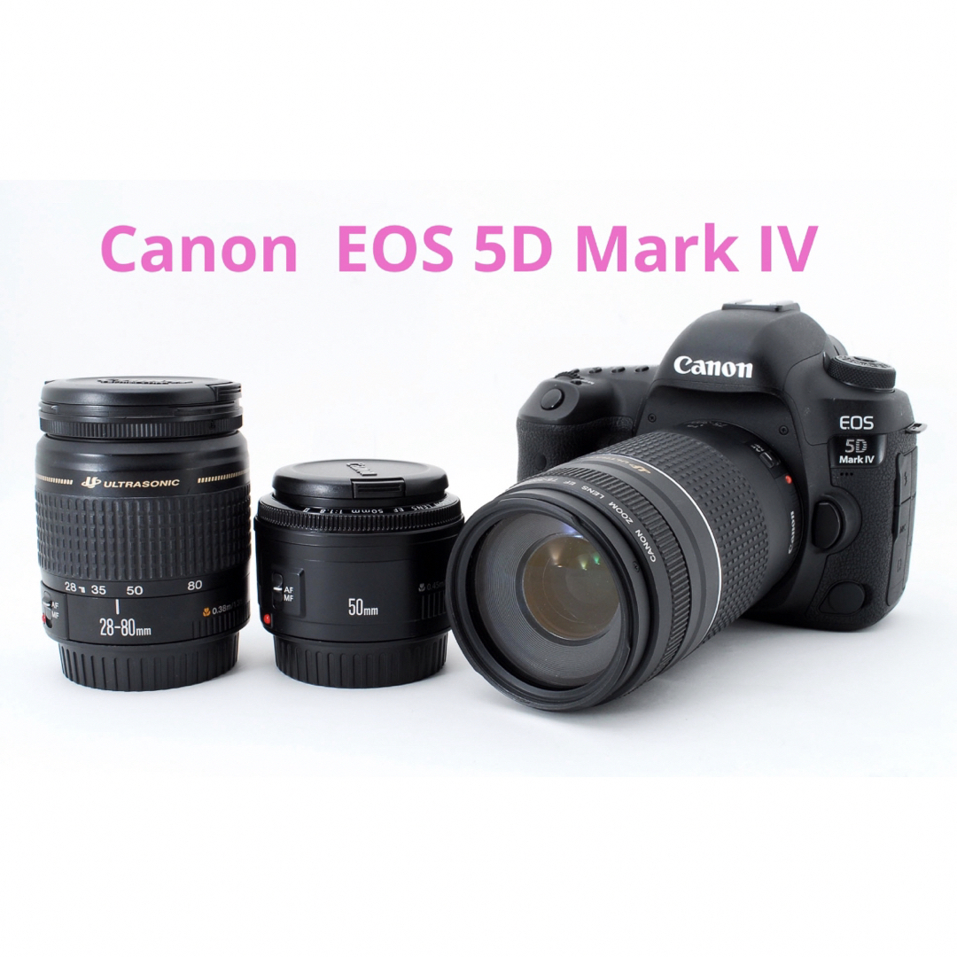 ☆Wi-Fi/動画☆Canon EOS 5D Mark IV標準レンズセット☆ 【公式通販】