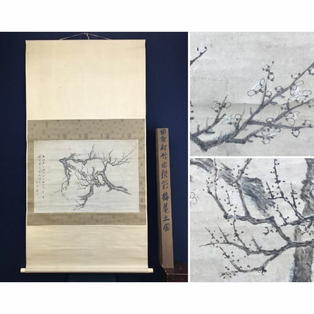 模写/田能村竹田/淡彩梅花之図/花図/梅図/掛軸☆宝船☆AE-43の通販 by