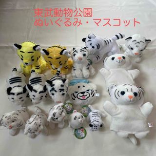 東武動物公園 ぬいぐるみ マスコット ホワイトタイガーの通販 by まる