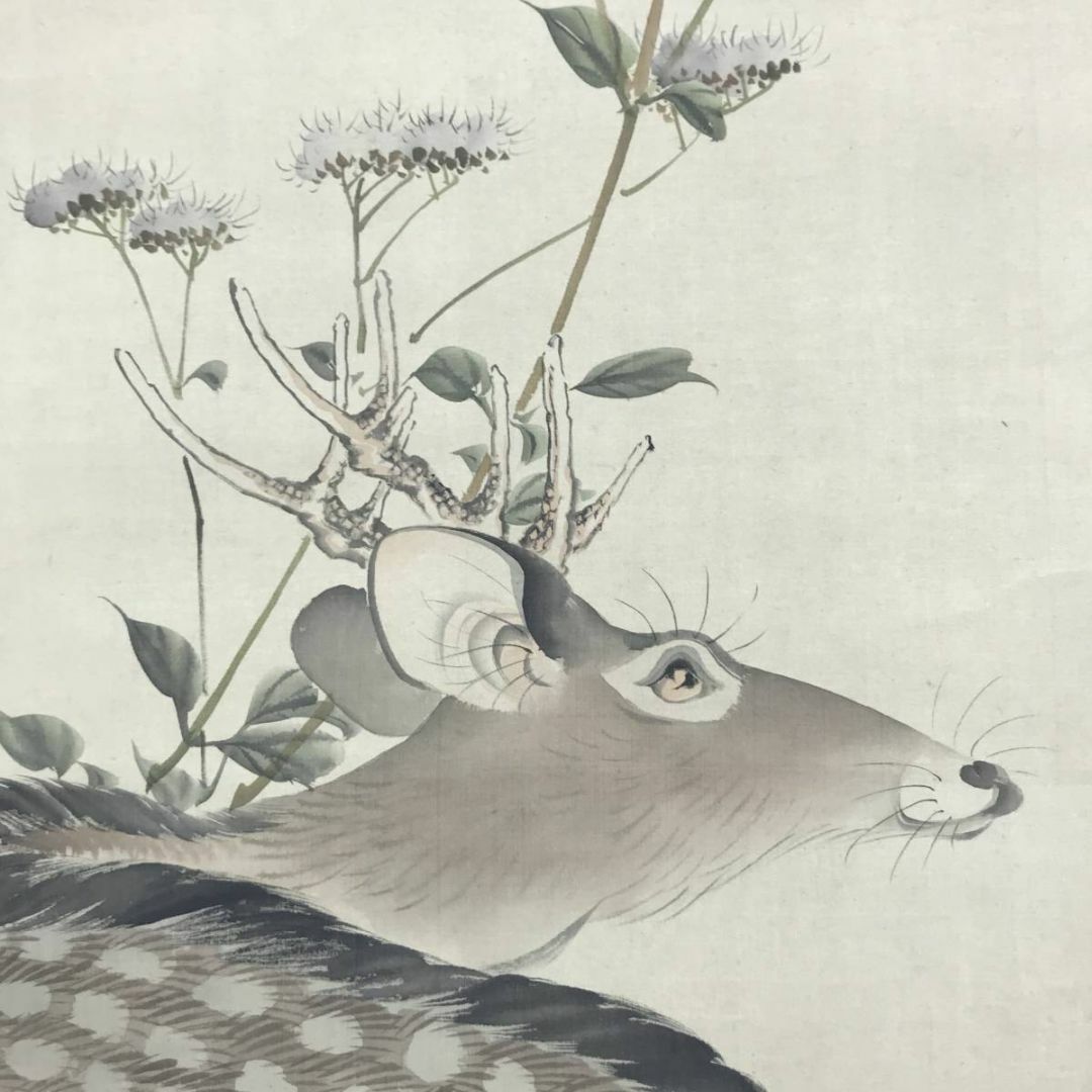 真作/西山芳園/草花鹿図/鹿図/花鳥図/掛軸☆宝船☆AD-494の通販 by