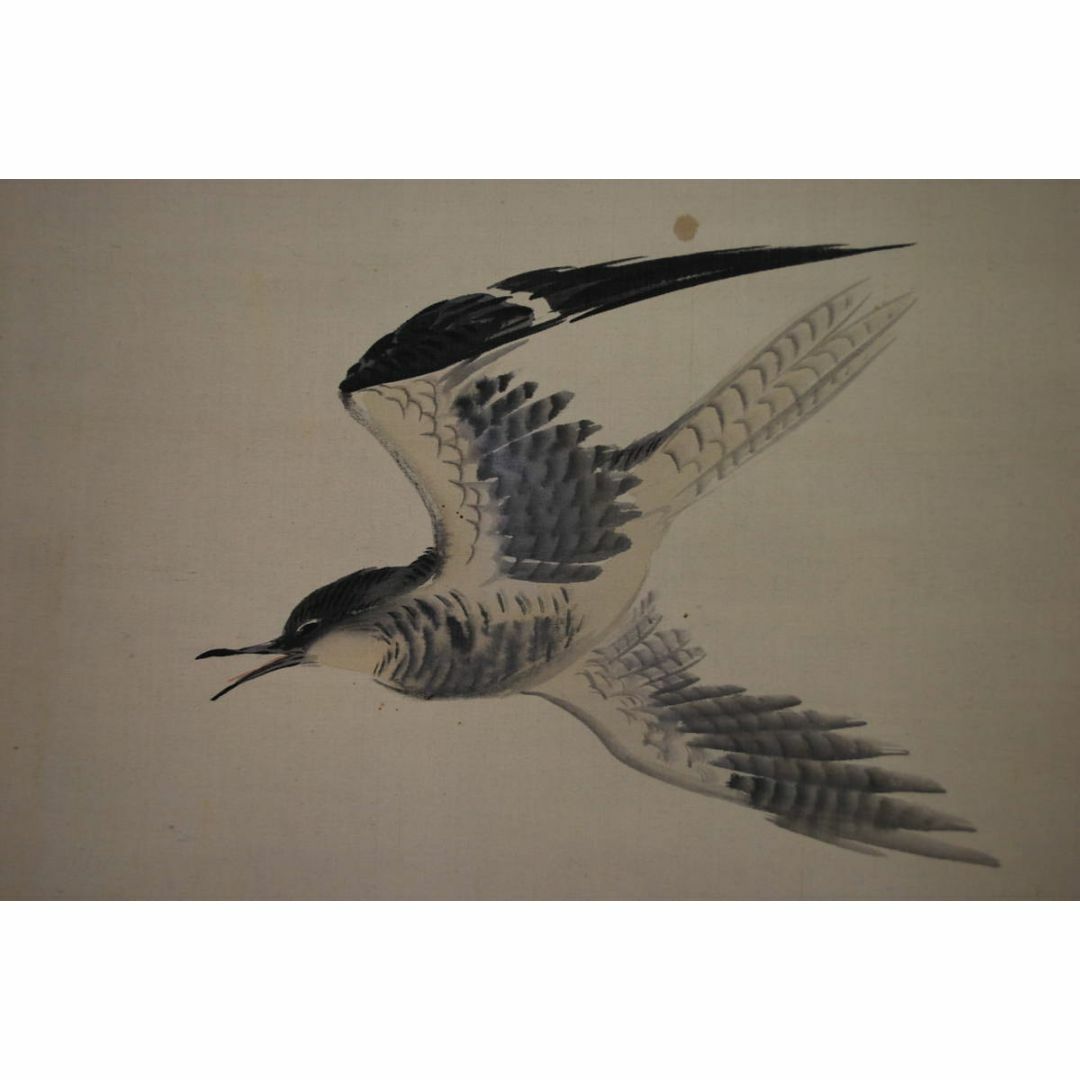 真作/宇田大虚/月にホトトギス図/時鳥/掛軸☆宝船☆T-530の通販 by