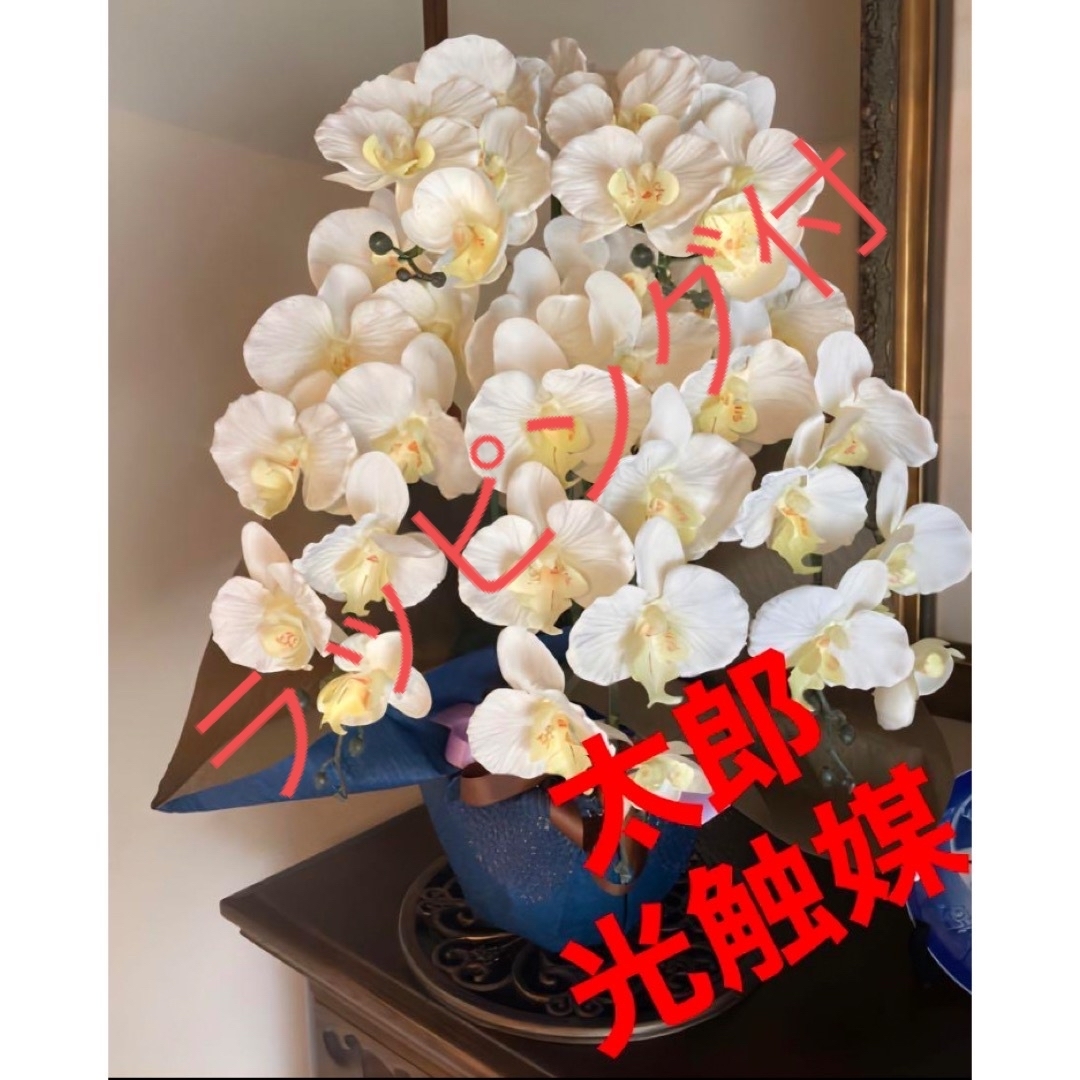 光触媒 人工観葉植物 ウォールグリーン フェイクグリーン リアル胡蝶蘭