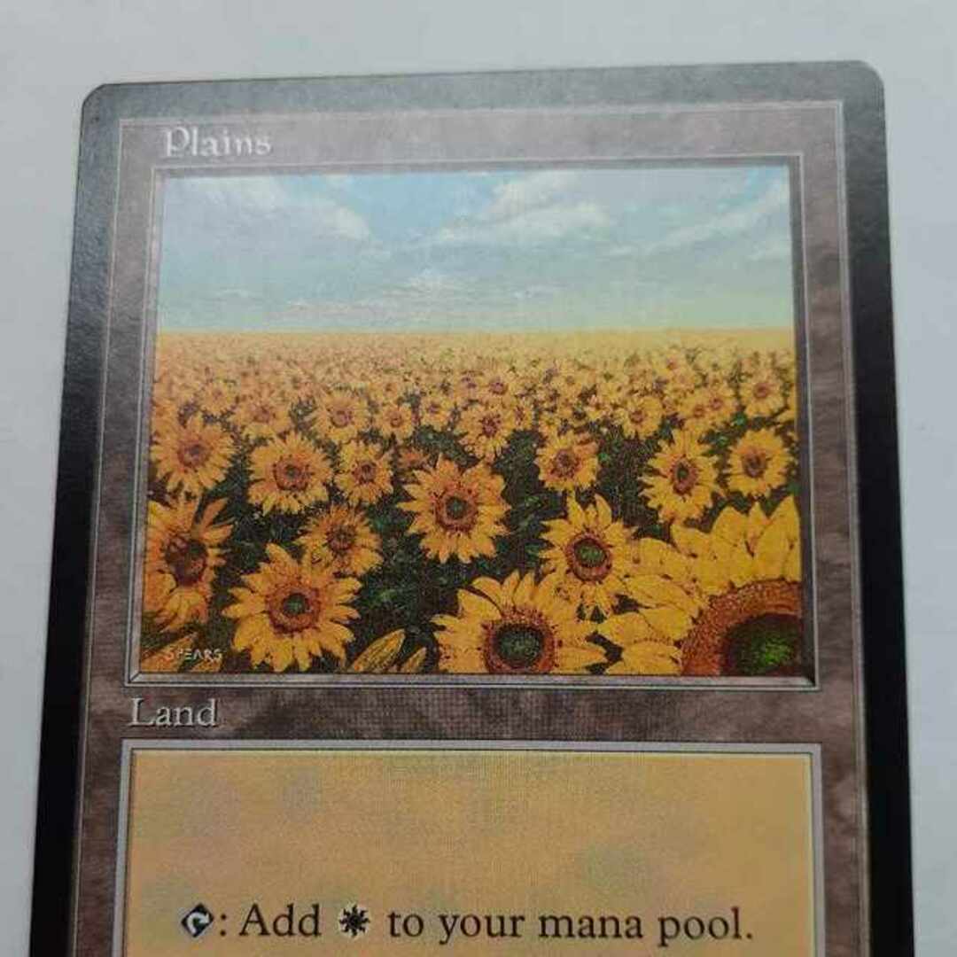 マジック：ザ・ギャザリング - MTG APACランド 5枚セット ひまわり平地