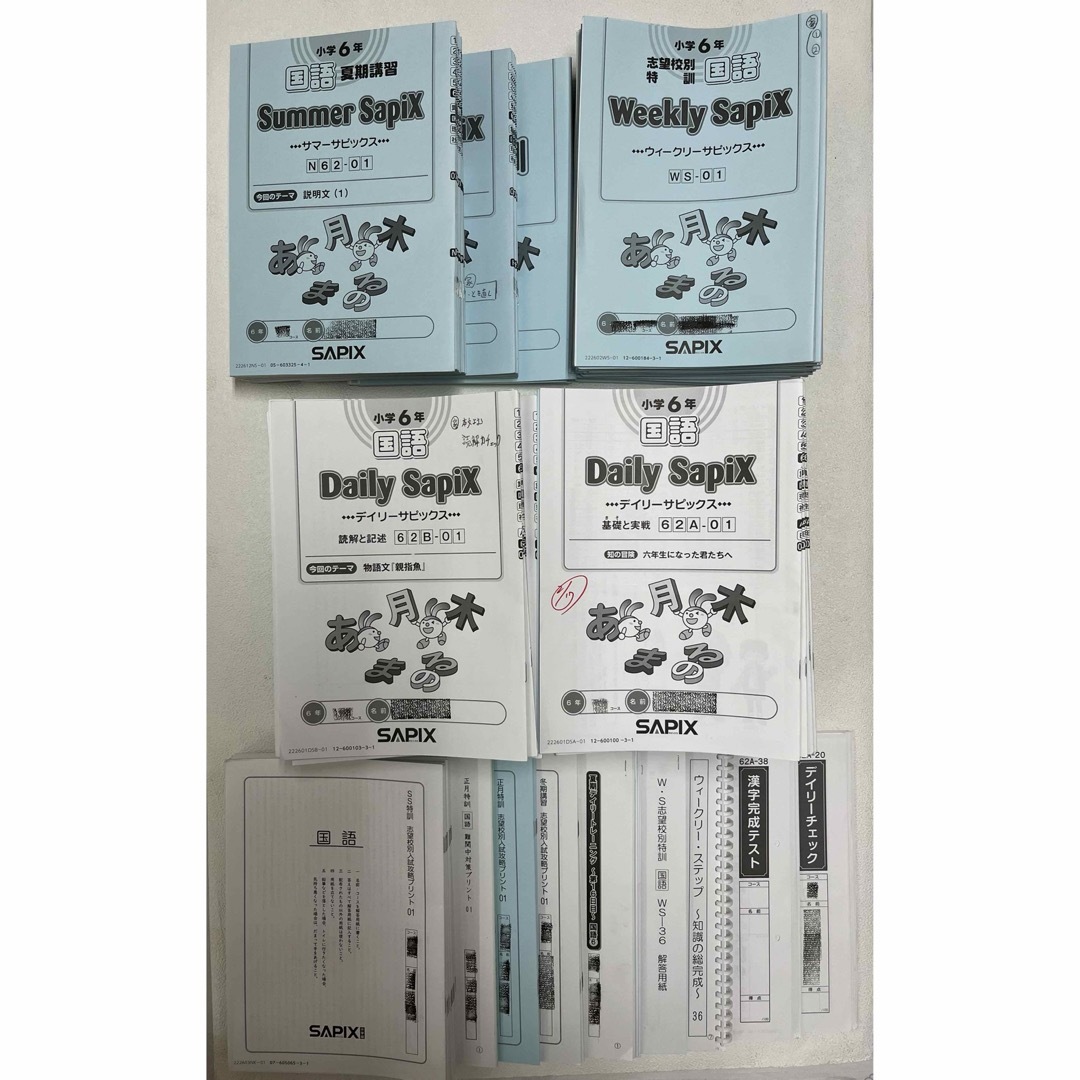 SAPIX デイリーサピックス 6年国語 1年分 2022年度テキスト・プリント