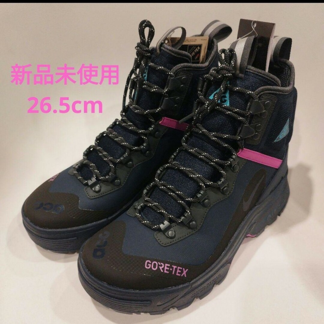 NIKE - ACGズーム ガイアドーム ゴアテックスの通販 by SAKURA｜ナイキ