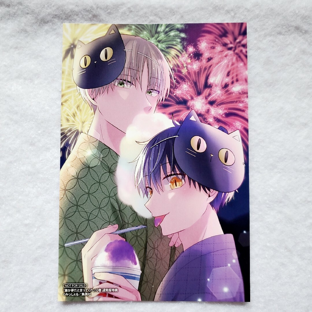 誰か夢だと言ってくれ 10巻 ☆特典のみ☆ ポストカード 特装版 通常版