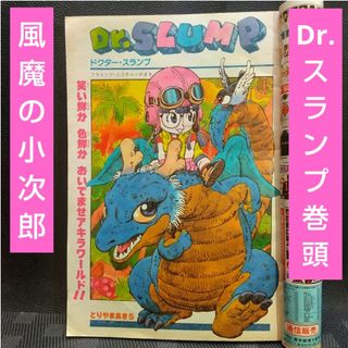 2307403680.jpg?1719748881