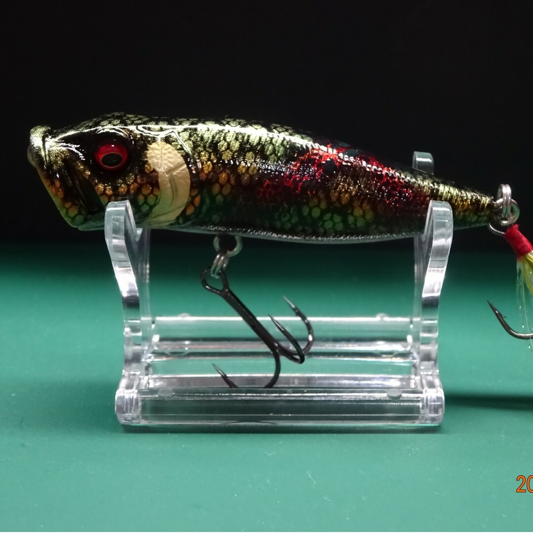 メガバスPOP X 干支カラー 寅 メガバス POPX 干支 寅 スペシャルcolor