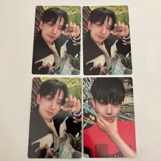 2318191526.jpg?1720819237