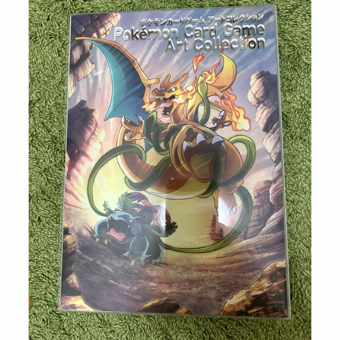 ポケモン - 【本のみ】ポケモンカードゲーム アートコレクションの通販