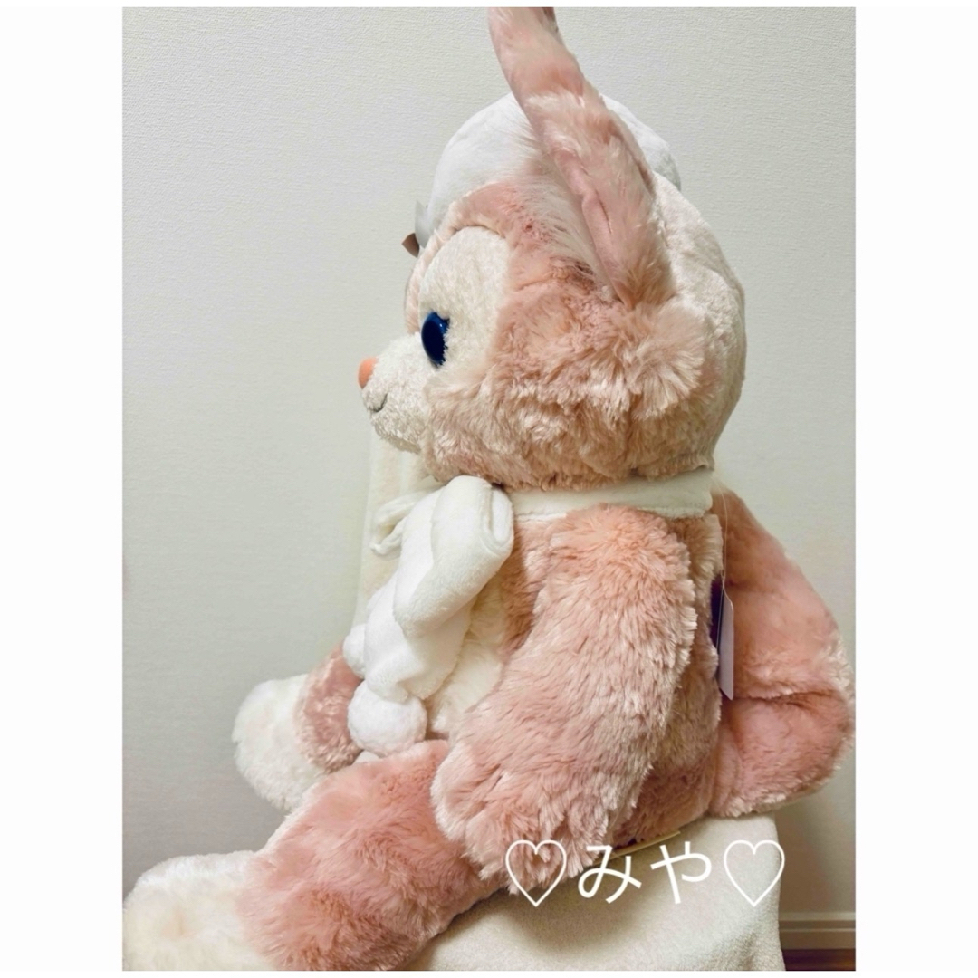 Disney - ダッフィー＆フレンズ ダンシングスノーフレークス