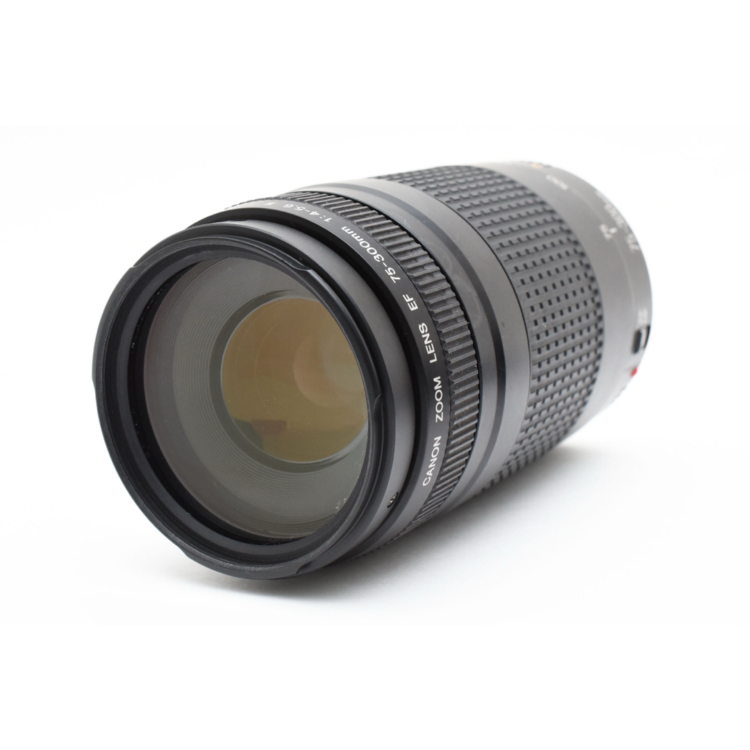 フード付き/望遠レンズ Canon EF 75-300mm F4-5.6 Ⅱ