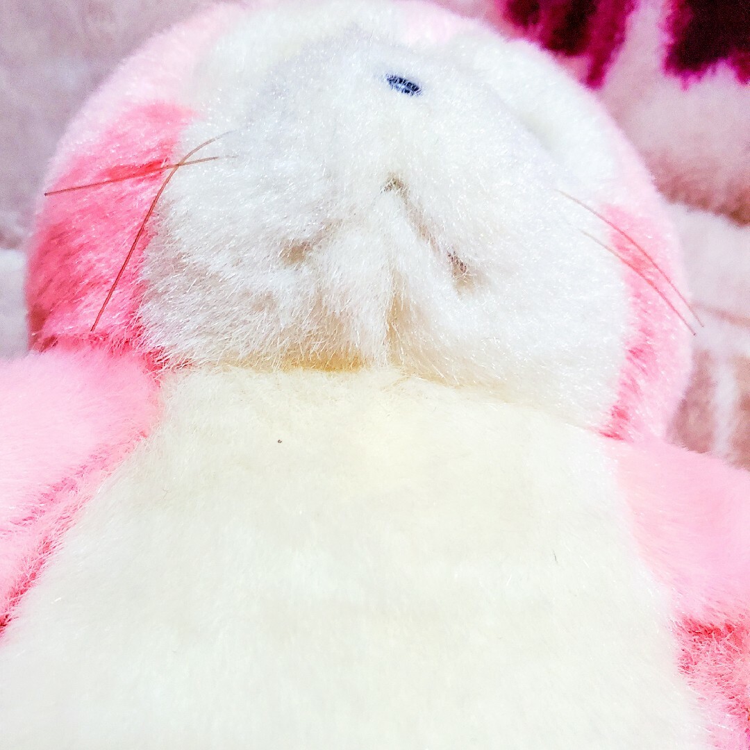 希少 セキグチ あらいぐまラスカル ぬいぐるみ ラスカル 桜色 ピンク