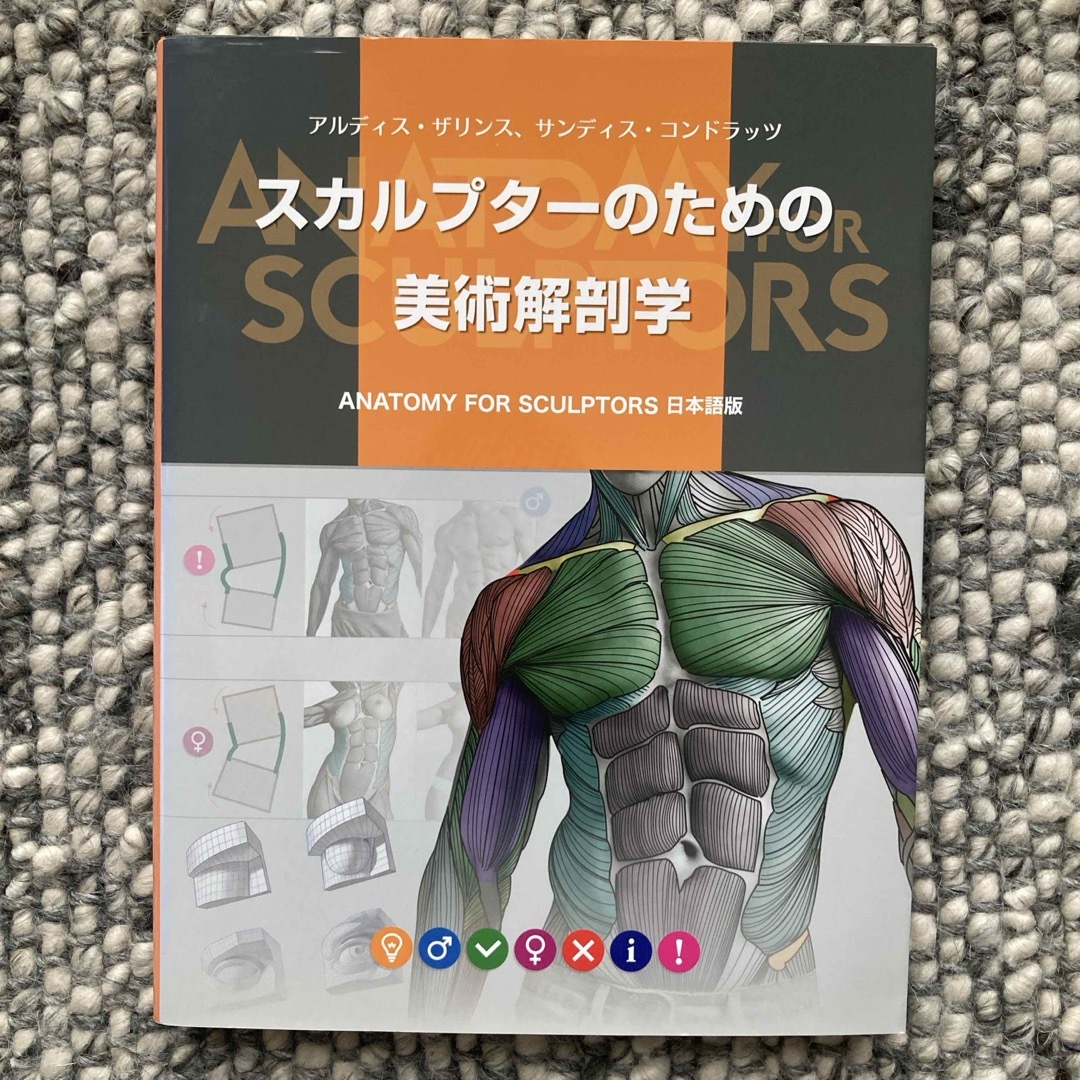 イラスト本 まとめ売り 11点 スカルプターのための美術解剖学