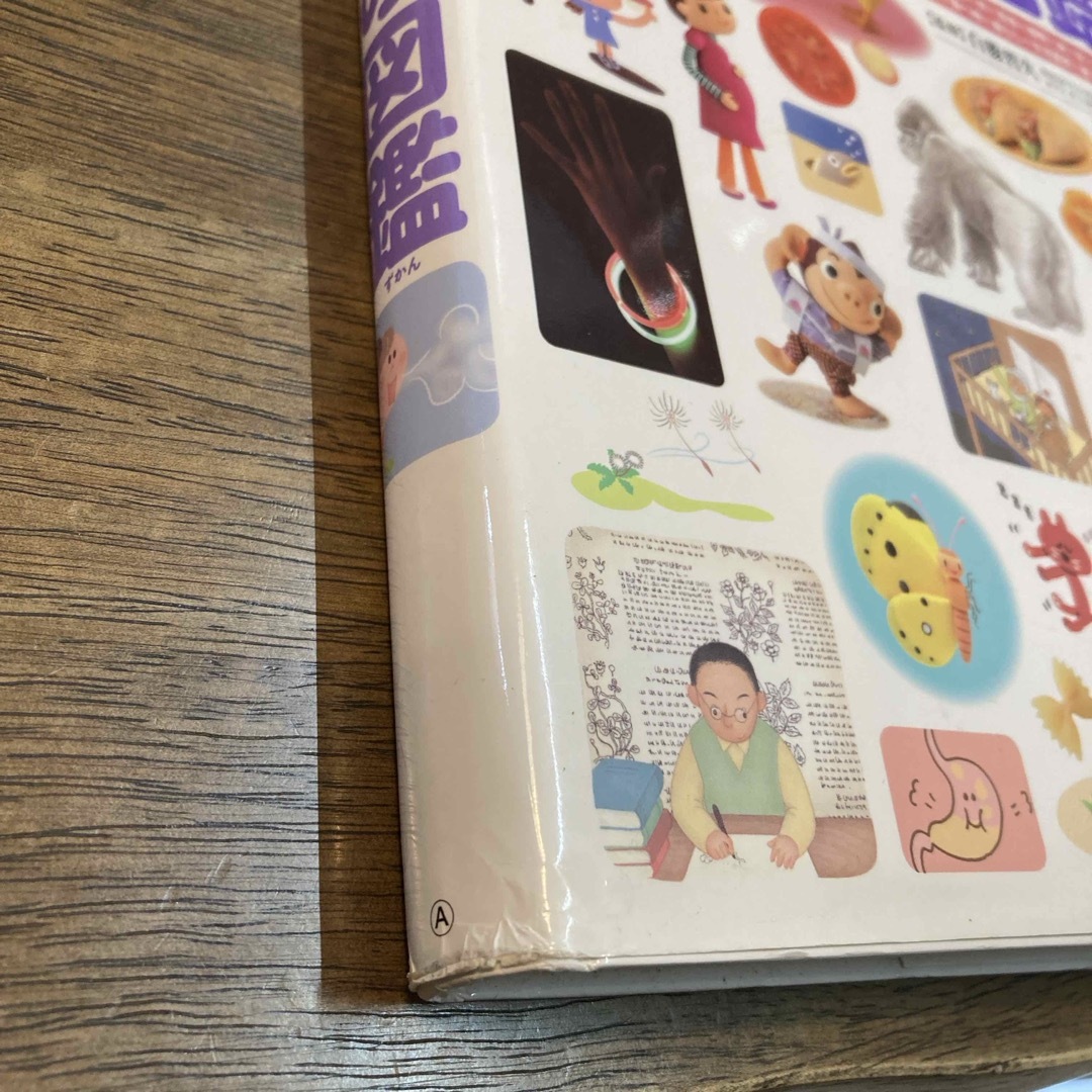 小学館 - ふしぎの図鑑 小学館の子ども図鑑 プレNEOの通販 by yuchi's