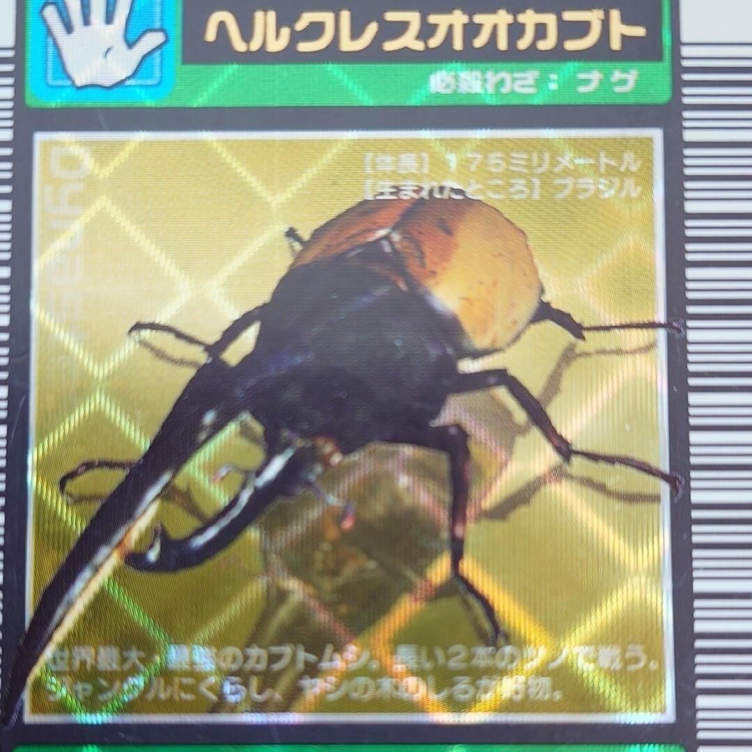 甲虫王者 ムシキング♢ ムシキングカード ♢2003学名白 ヘラクレス