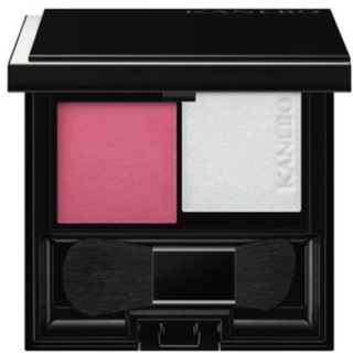 CG☆カネボウ☆パウダーブラシ☆アーティストセレクション