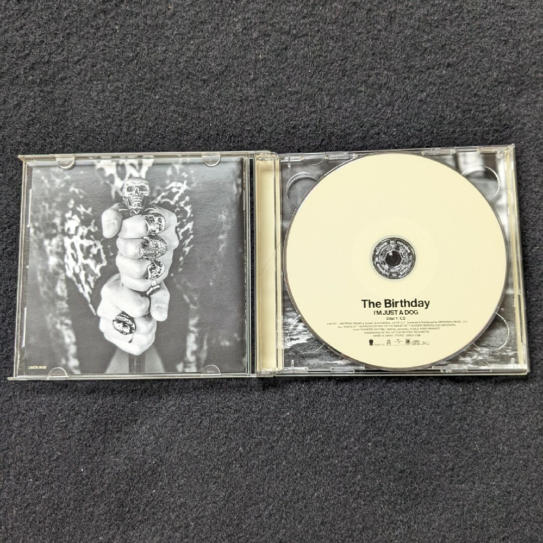 The Birthday 涙がこぼれそう DVD LIVE ライブ チバユウスケの通販 by