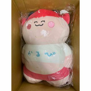 2337281295.jpg?1722755688